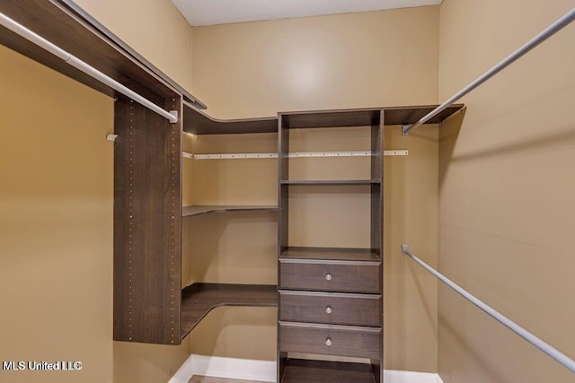 view of spacious closet