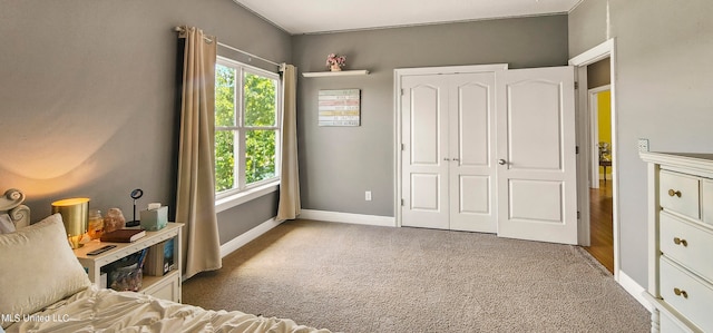 bedroom with carpet flooring and a closet