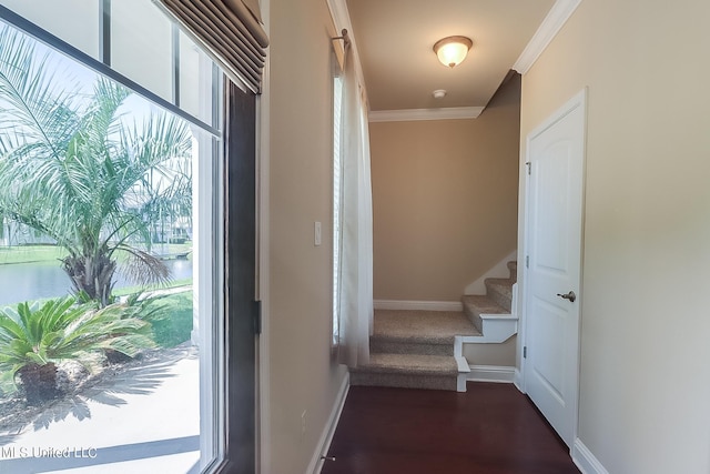 entryway featuring ornamental molding and dark hardwood / wood-style floors