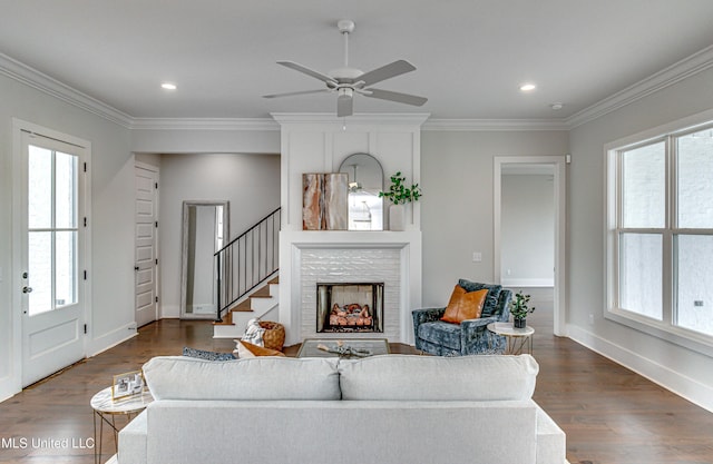 living room with ceiling fan, dark hardwood / wood-style floors, and ornamental molding