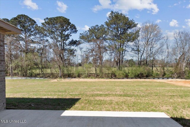 107 NE Adams Ave, Magee, MS 39111 - view of grassy yard