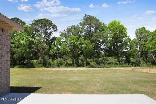 107 NE Adams Ave, Magee, MS 39111 - view of grassy yard