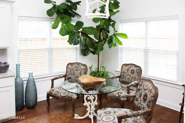 dining area with dark wood-style floors, plenty of natural light, and baseboards