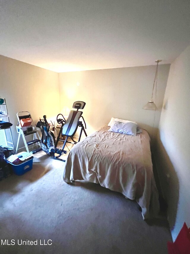 bedroom featuring carpet flooring