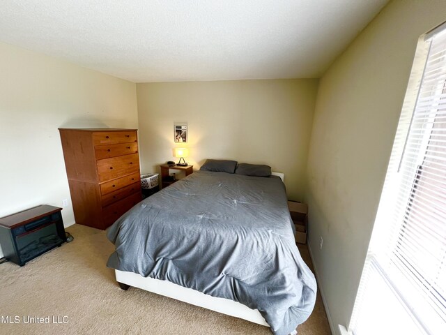 bedroom with carpet floors