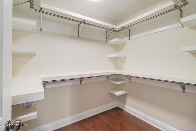 walk in closet featuring dark hardwood / wood-style flooring