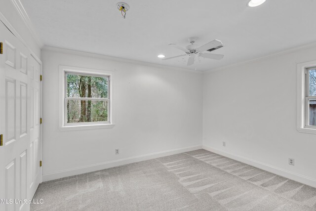 empty room with ornamental molding, plenty of natural light, light colored carpet, and ceiling fan