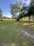 6709 Caraway Rd, Moss Point, MS 39562 - view of yard