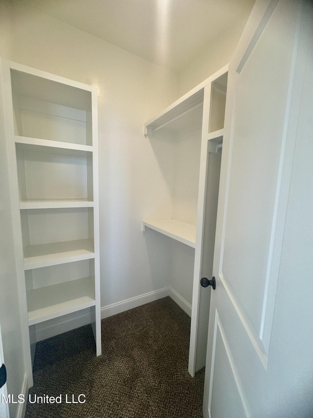 5322 Grays Valley Dr, Hernando, MS 38632 - spacious closet with carpet