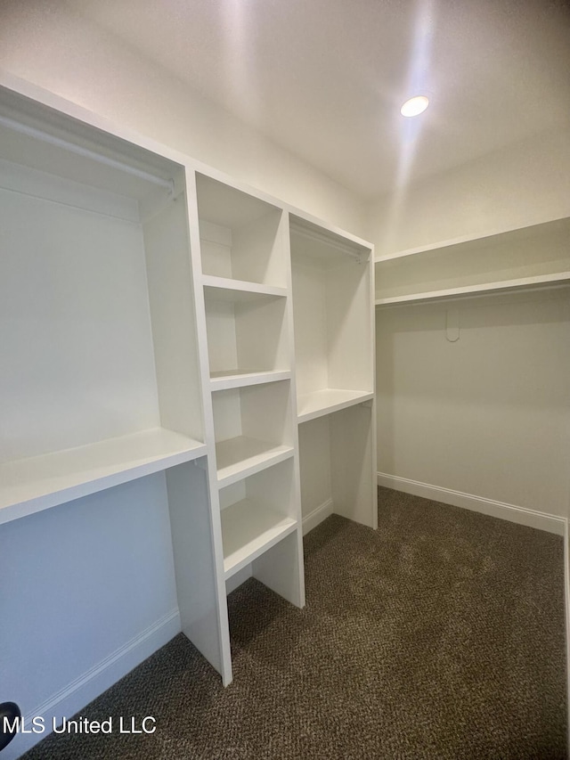 5322 Grays Valley Dr, Hernando, MS 38632 - spacious closet featuring dark colored carpet