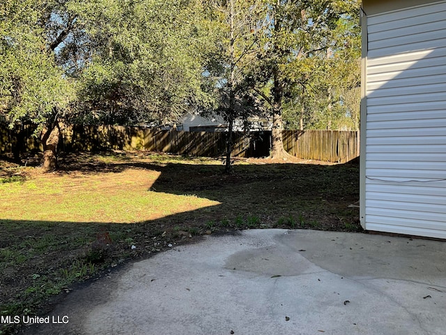 view of yard with a patio