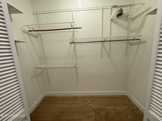 730 Ieke Cir, Diamondhead, MS 39525 - spacious closet featuring carpet
