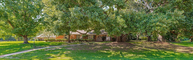 view of property hidden behind natural elements featuring a front yard