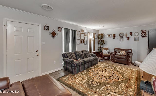 living room featuring hardwood / wood-style floors