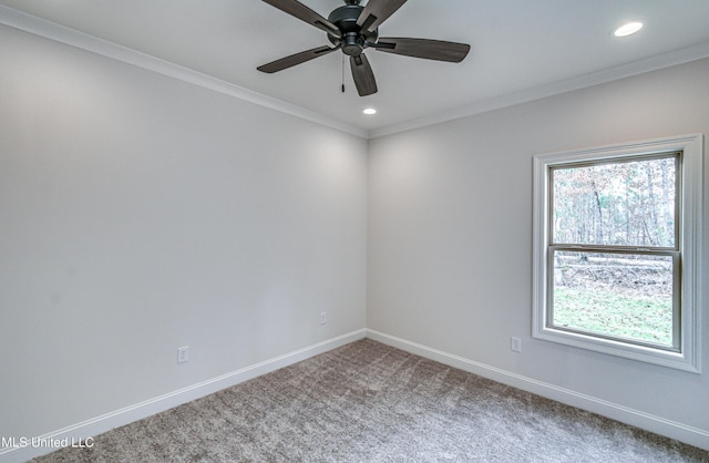 empty room with ceiling fan, ornamental molding, and carpet floors