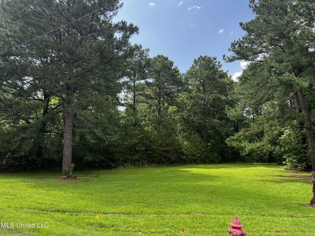 164 Walter Payton Ln, Ridgeland, MS 39157