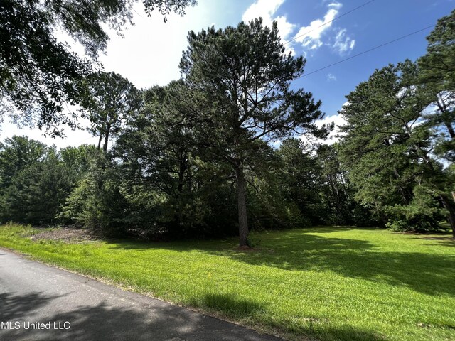 164 Walter Payton Ln, Ridgeland, MS 39157