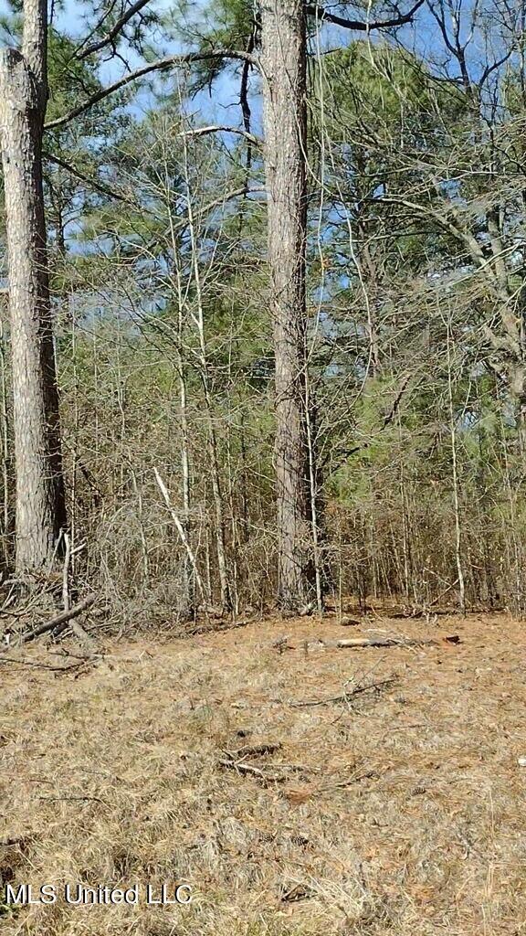 164 Walter Payton Ln, Ridgeland, MS 39157