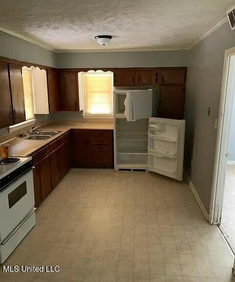 kitchen featuring crown molding, sink, a textured ceiling, and electric stove