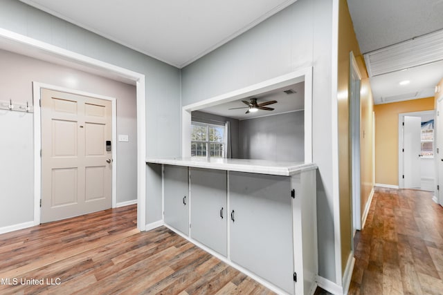 foyer with ceiling fan and hardwood / wood-style flooring