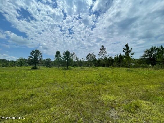 24989 Eastwood Ln, Lucedale MS, 39452 land for sale