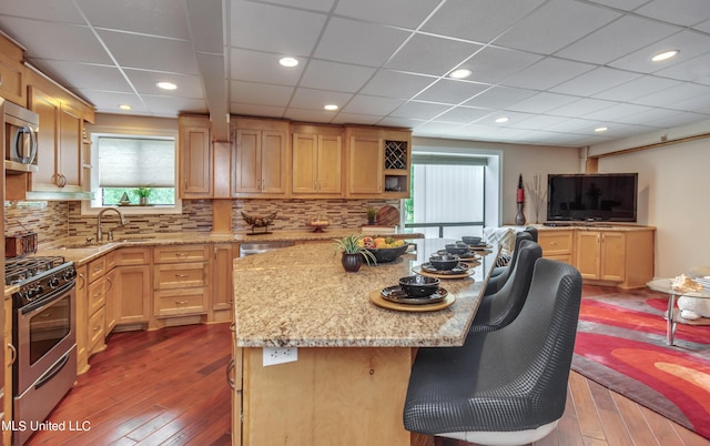 904 Northwood Cir, Brandon, MS 39047 - kitchen with light stone countertops, a wealth of natural light, appliances with stainless steel finishes, and dark wood-style flooring