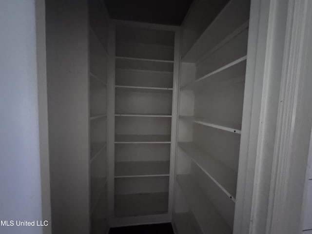 515 Belle Oak Pl, Brandon, MS 39042 - view of pantry