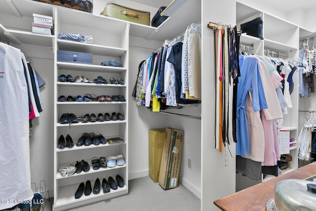 walk in closet with light colored carpet