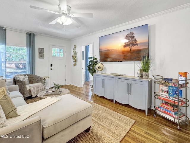 living room featuring ornamental molding, light hardwood / wood-style flooring, and a textured ceiling