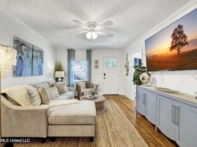 living room featuring hardwood / wood-style floors, a textured ceiling, ceiling fan, and ornamental molding