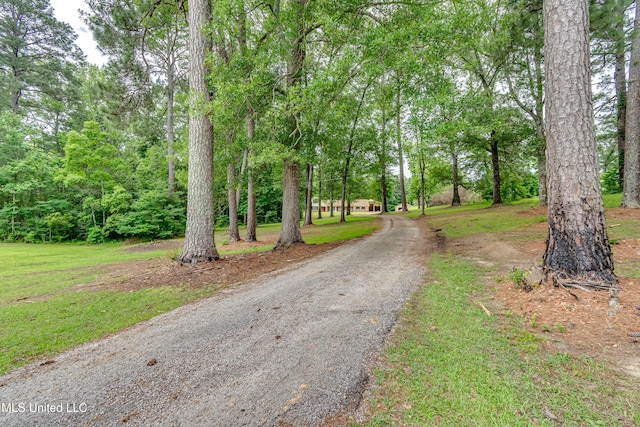 1597 Old Lake Rd, Brandon, MS 39042 - view of dirt / gravel driveway