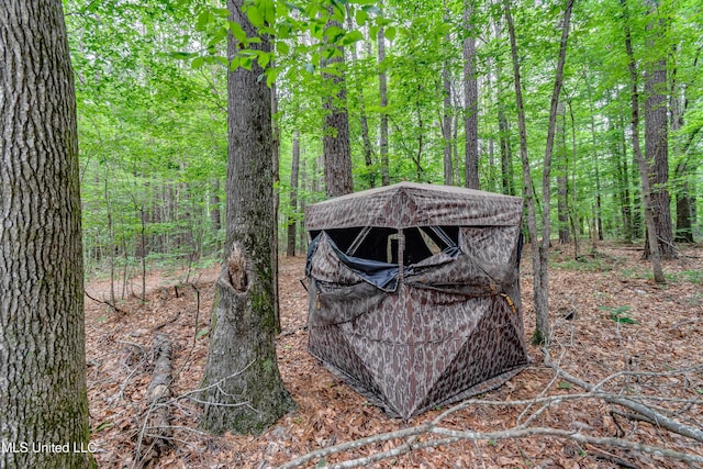 1597 Old Lake Rd, Brandon, MS 39042 - view of outdoor structure with a forest view