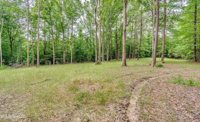 1597 Old Lake Rd, Brandon, MS 39042 - view of tree filled area