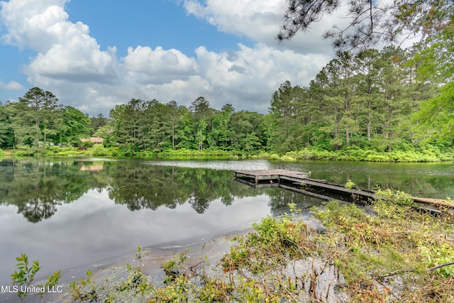 1597 Old Lake Rd, Brandon, MS 39042 - dock featuring a view of trees and a water view