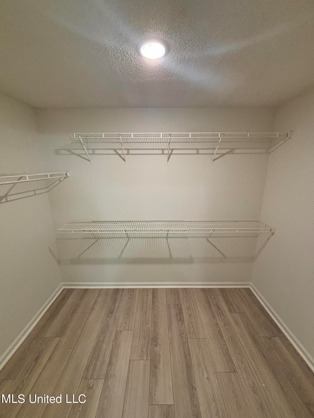 spacious closet featuring wood-type flooring