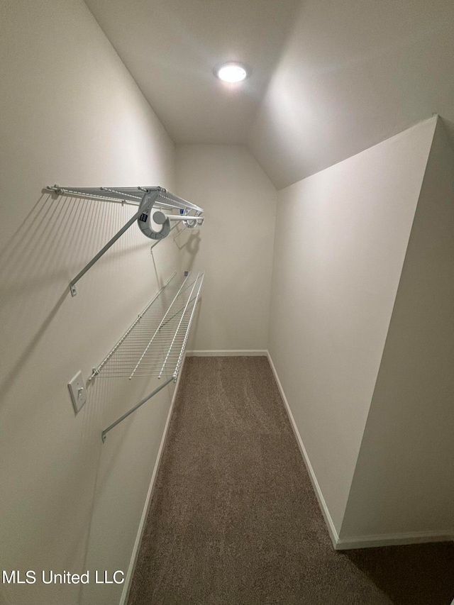 walk in closet with carpet and vaulted ceiling