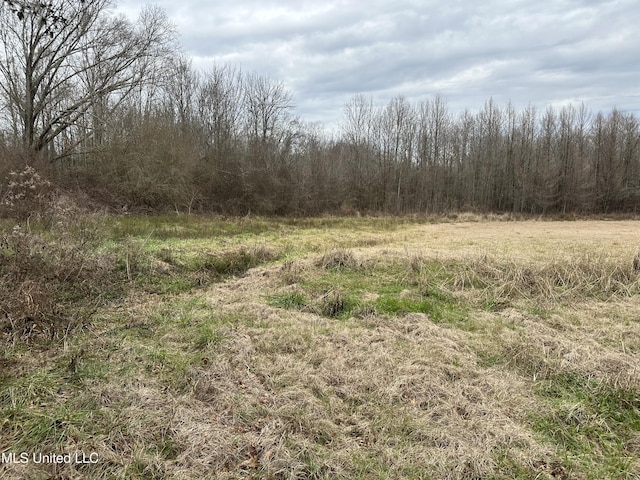 4513 Lawrence Hazel Rd, Lawrence, MS 39336 - view of wooded area