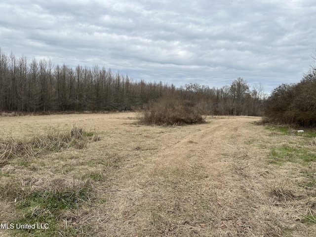 4513 Lawrence Hazel Rd, Lawrence, MS 39336 - view of woods