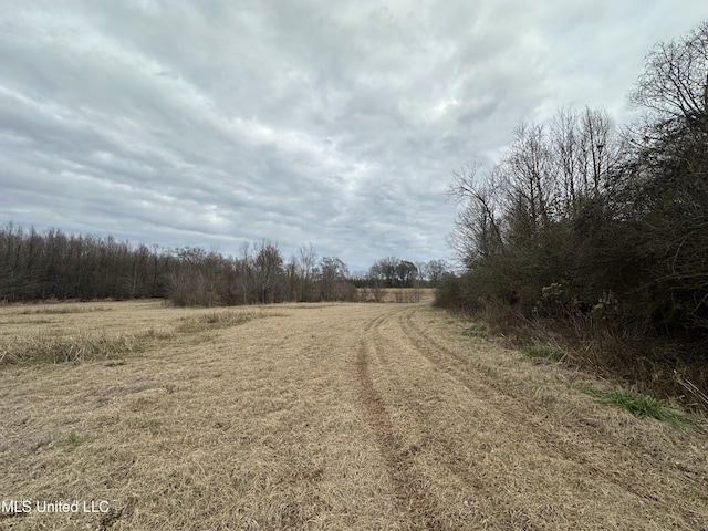 4513 Lawrence Hazel Rd, Lawrence, MS 39336 - view of dirt / gravel road featuring a view of countryside