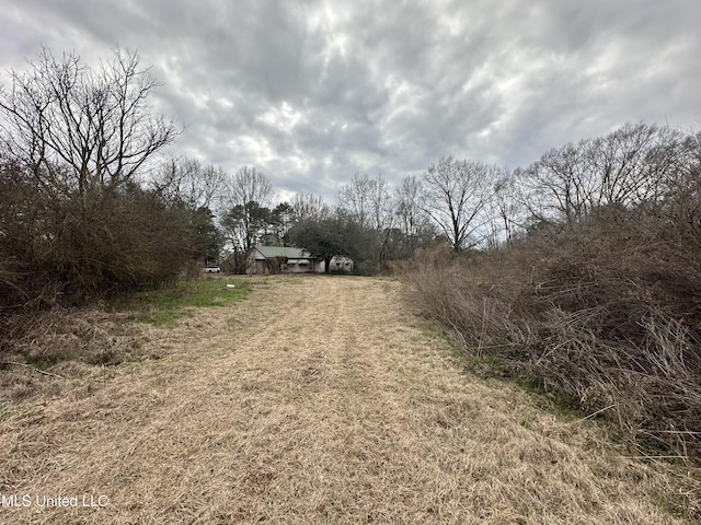 4513 Lawrence Hazel Rd, Lawrence, MS 39336 - view of dirt / gravel driveway