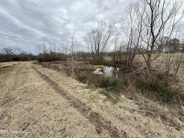 4513 Lawrence Hazel Rd, Lawrence, MS 39336 - view of local wilderness