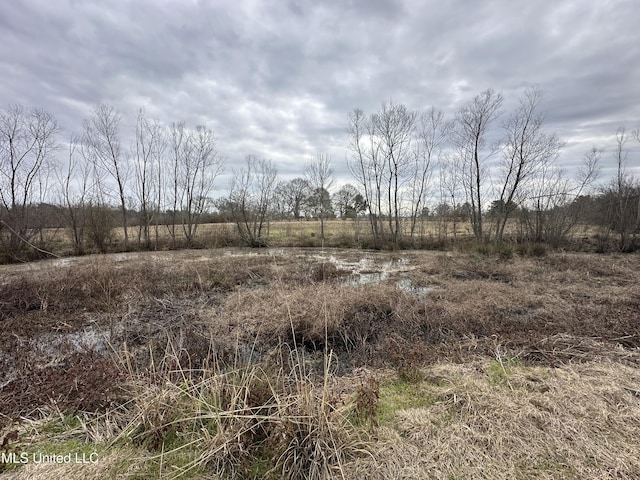 4513 Lawrence Hazel Rd, Lawrence, MS 39336 - view of nature with rural landscape