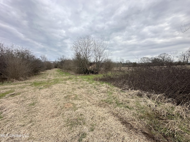 4513 Lawrence Hazel Rd, Lawrence, MS 39336 - view of local wilderness with rural landscape