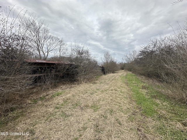 4513 Lawrence Hazel Rd, Lawrence, MS 39336 - view of road