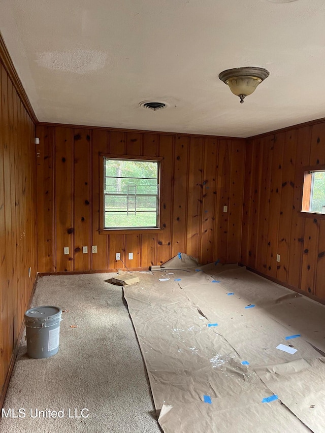 empty room featuring wood walls and a wealth of natural light