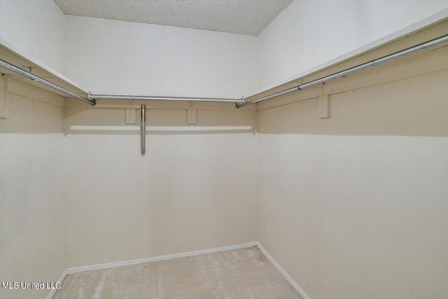 walk in closet with carpet flooring