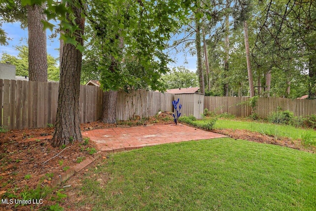 view of yard featuring a patio area and a storage unit