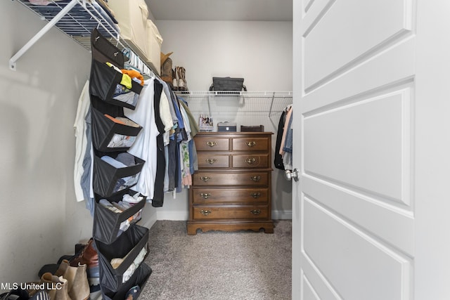 spacious closet with carpet