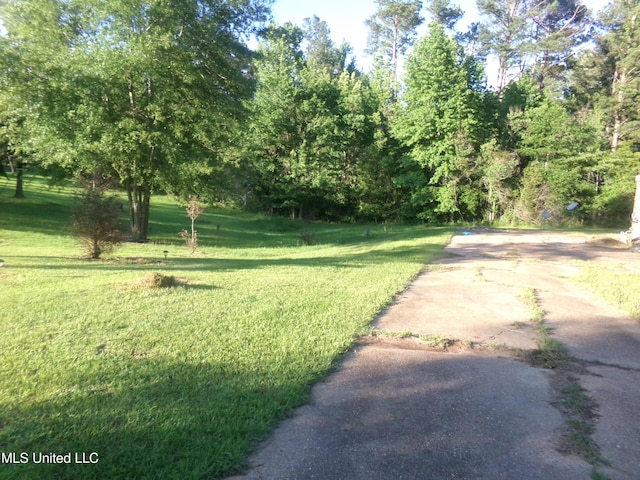 view of grassy yard