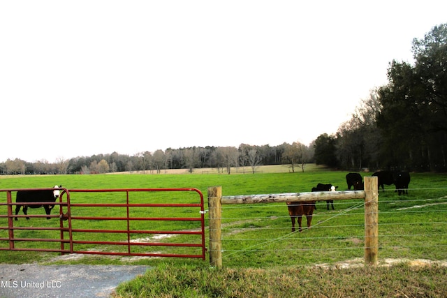 Listing photo 2 for 20ACRES Basin Refuge Rd, Lucedale MS 39452